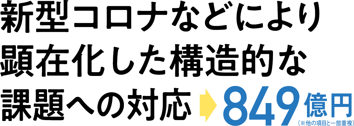 テキスト画像:新型コロナなどにより顕在化した構造的な課題への対応→849億円(※他の項目と一部重複)