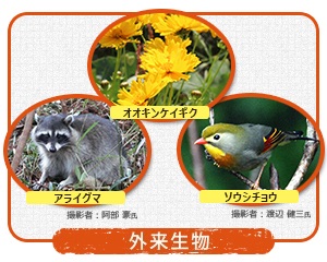 特定外来生物