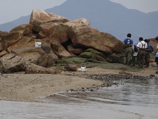 岩礁域の調査の写真
