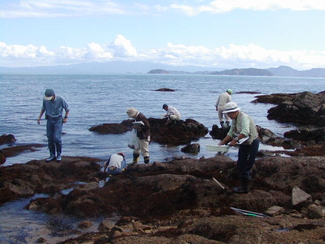 生物調査中の写真