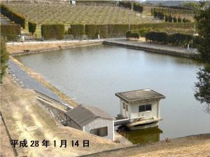 きれいですね