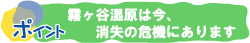 霧ヶ谷湿原は今、消失の危機にあります
