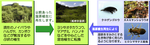 目指す湿原とは
