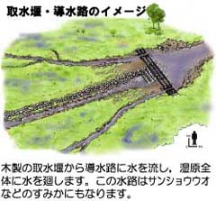 取水堰・導水路のイメージ