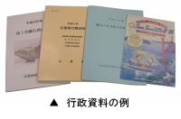 行政資料の例