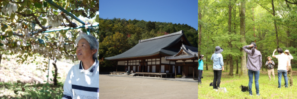 image06