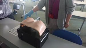 触診モデル体験の様子①