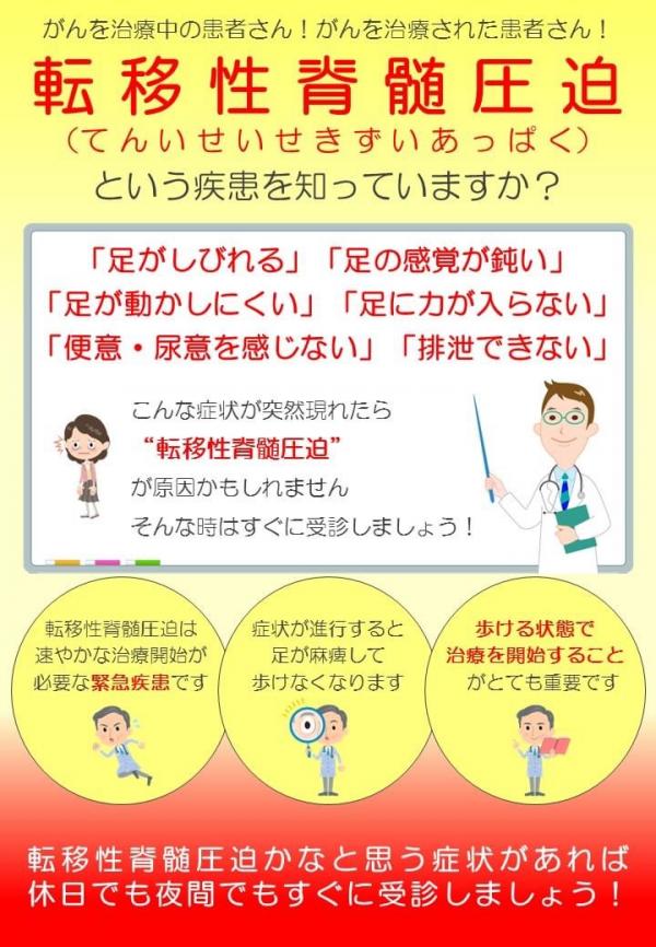 チラシ