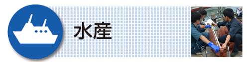 水産