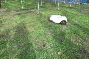 稼働させた草刈機