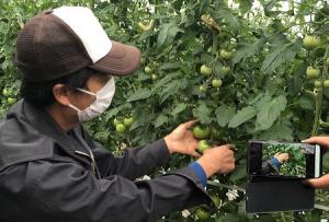 農場からスマホを使ったライブ送信