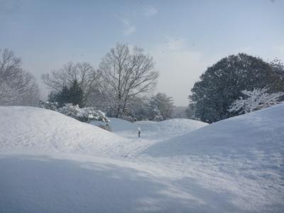 雪の古墳