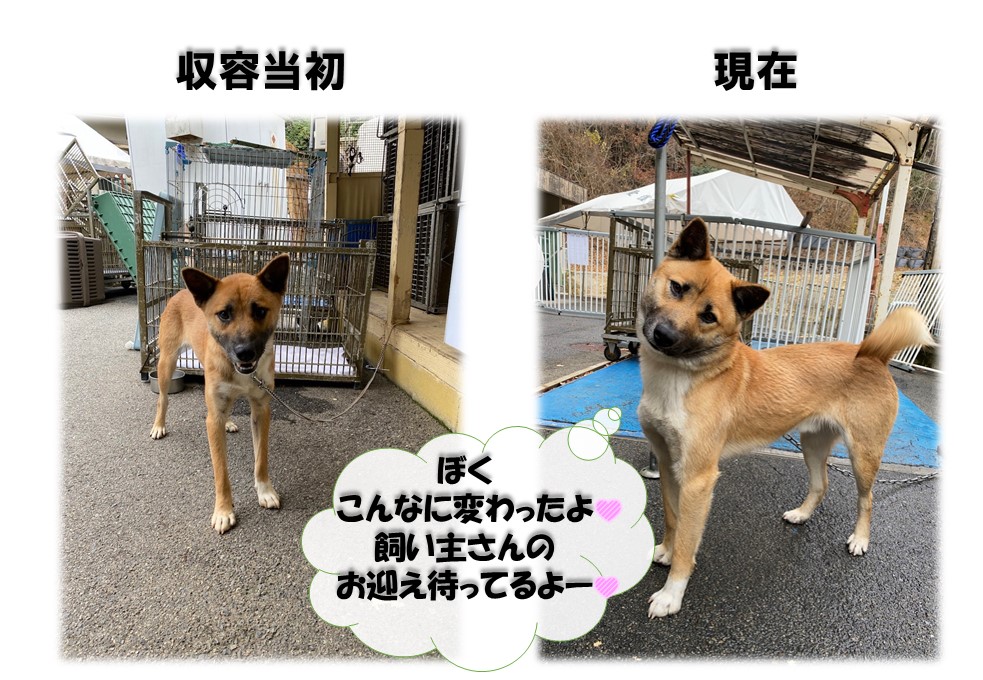 ぺーちゃん