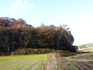 安芸高田市 里山 前