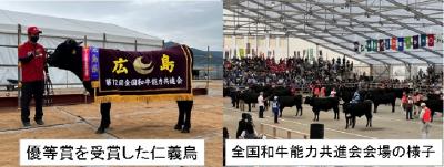 全国和牛能力共進会