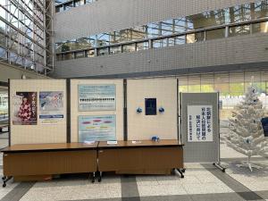 展示1