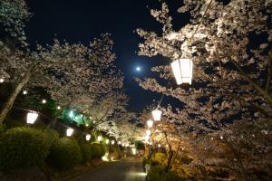 5-(尾道市)千光寺公園ぼんぼり