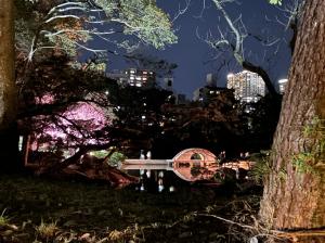11-(広島市 文化芸術課)image0