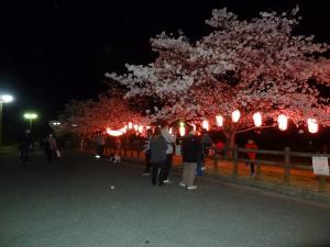 14-(竹原市)バンブー総合公園バンブーさくら週間