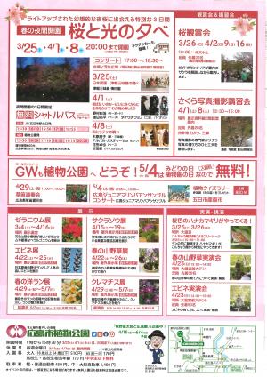 13(15)-(広島市)02-1,2 さくらまつり・桜と光の夕べ (2)