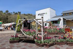 26-(世羅町)2.フラワー王国4.15