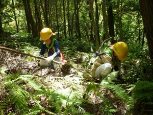 62-(広島市 森林保全課)ひろしま「山の日」県民の集い