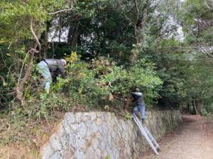江田島市 砲台跡地周辺の森林を整備している様子