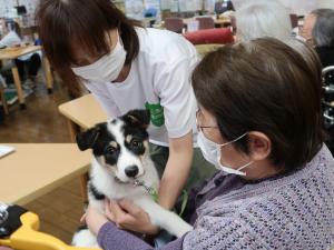 子犬ふれあい１