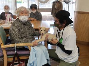子犬ふれあい３