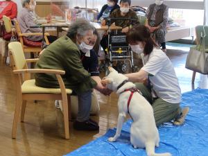 モデル犬ふれあい２
