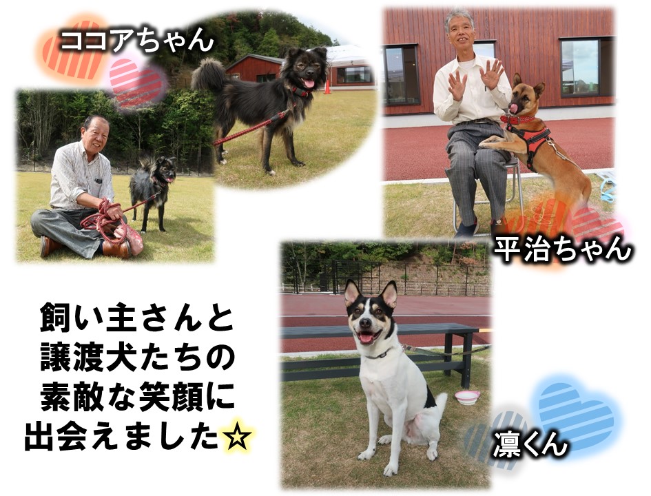 里帰り