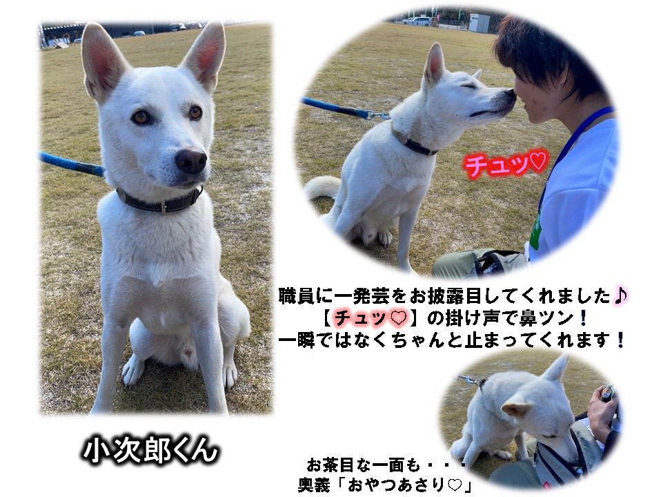 小次郎
