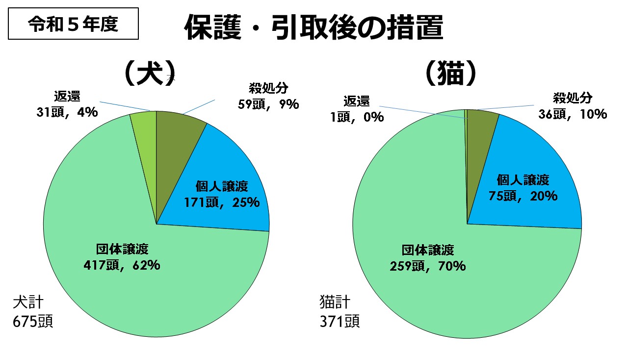 保護・引取後の措置