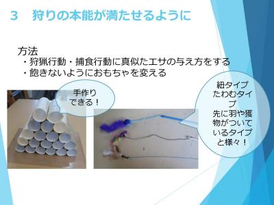 スライド４
