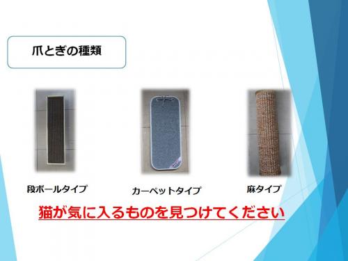 爪とぎ