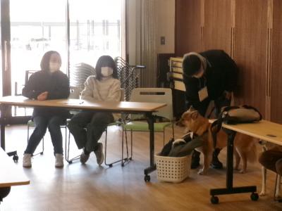 交流会２　愛犬自慢