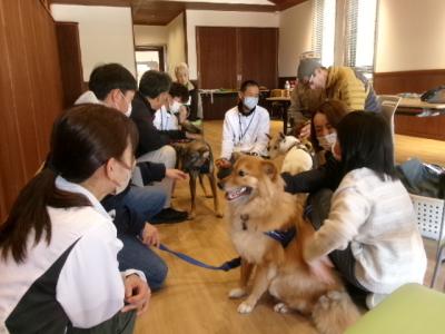 交流会４　フリートークの様子２