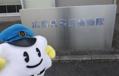 メイプル君の様子