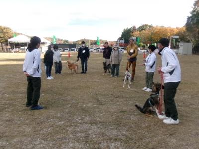 交流会６　おすわりゲームの様子２