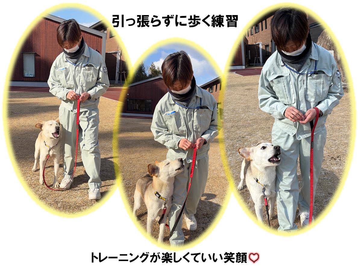 てんちゃん１