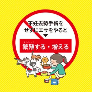 不妊去勢手術