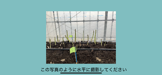02撮影サンプル表示