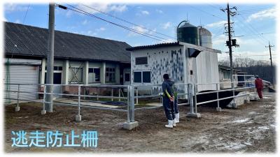 採卵牛舎前に新たに設置した逃走防止柵