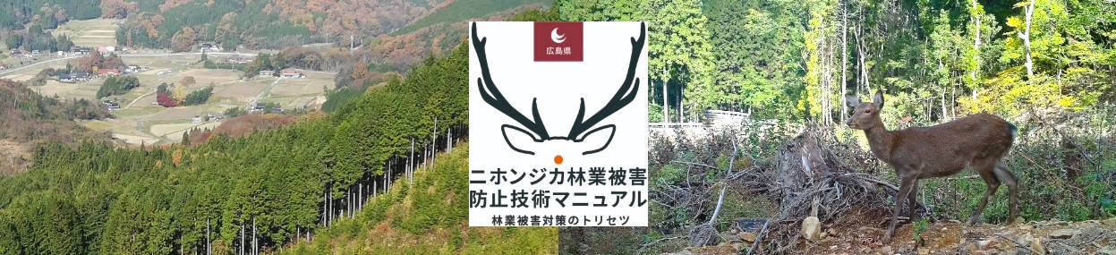 タイトル