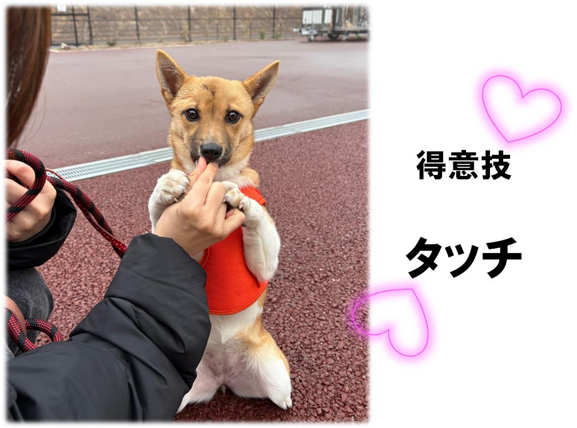 けんこ１