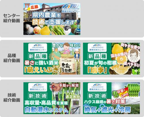 公開動画一覧