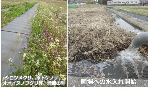 水入れ開始の写真