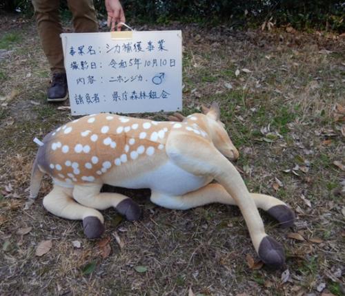 記録写真の例