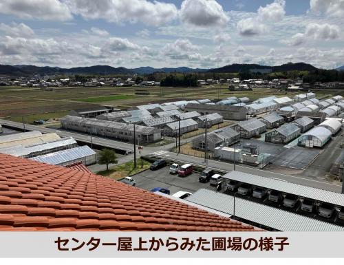 センター屋上から圃場を見た様子の写真