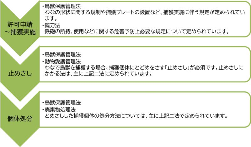 捕獲の流れ